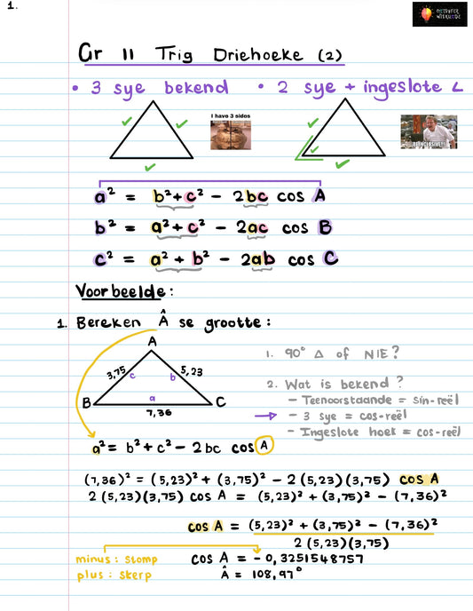 Gr 11 Trig Driehoeke 2