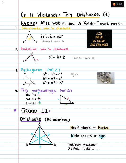 Gr 11 Trig Driehoeke 1