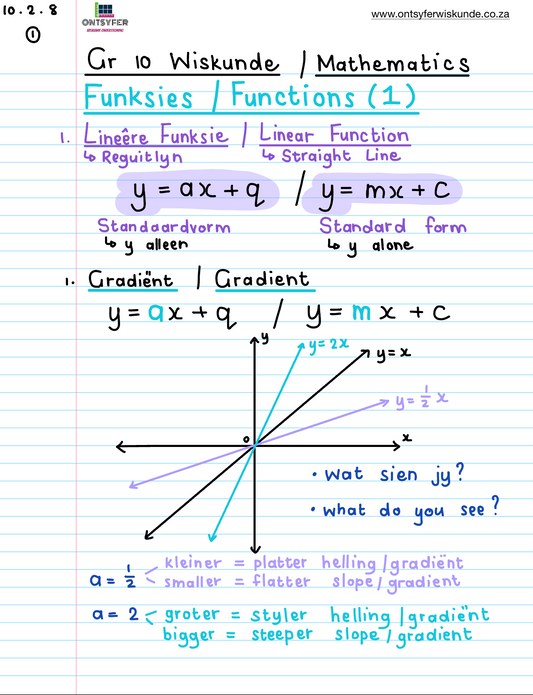 Gr 10 Funksies / Functions (1)