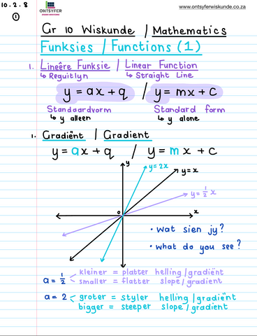 Gr 10 Funksies / Functions (1)